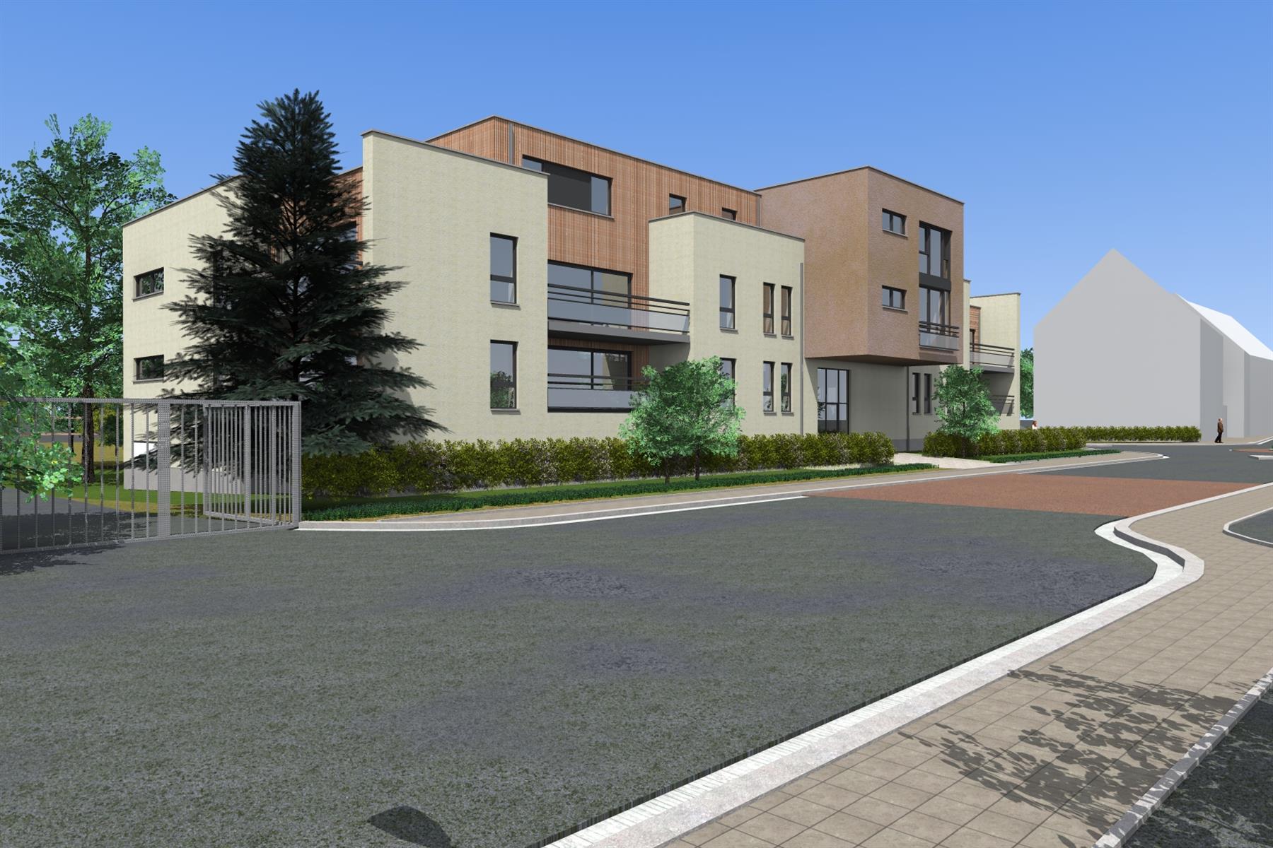 Picture of the project