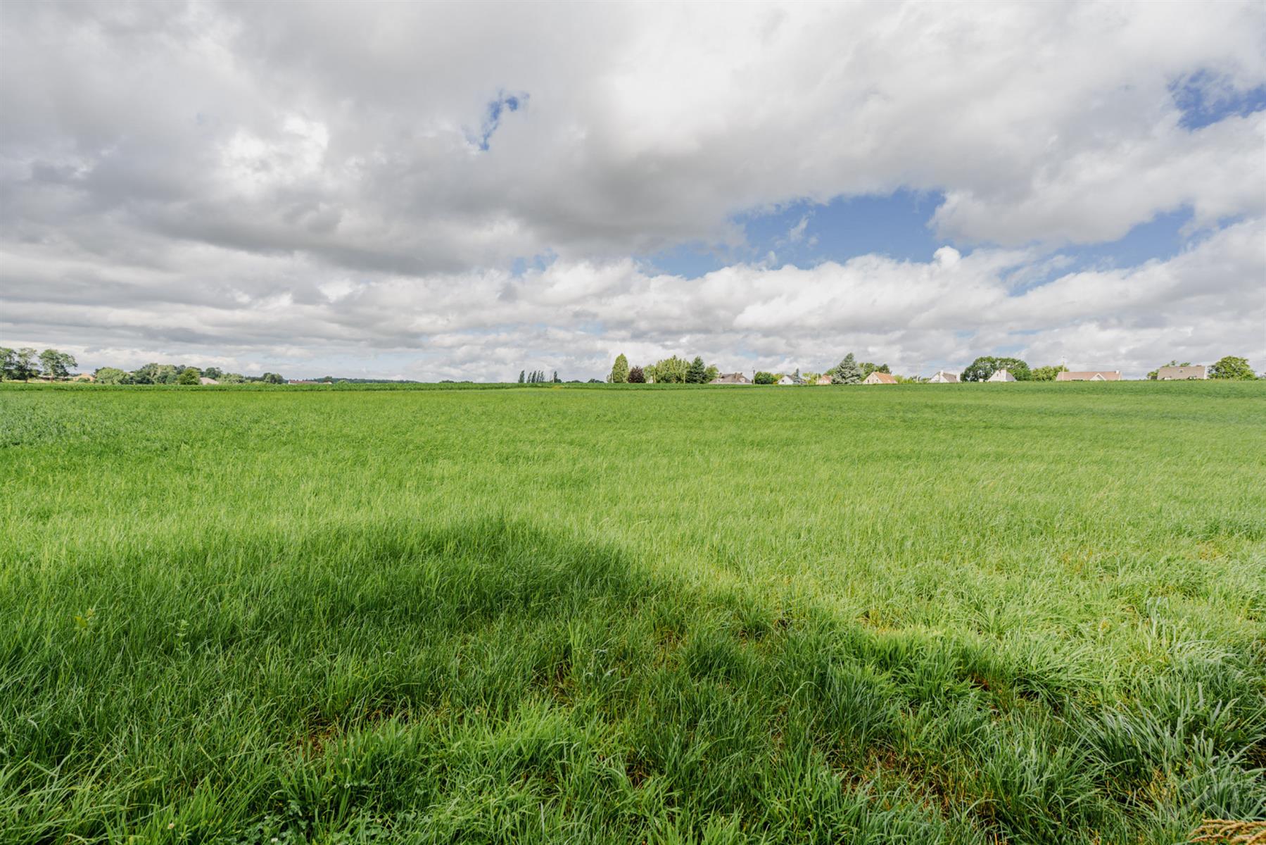 Foto 3 van 4 van Villa met vijf slaapkamers in Lasne