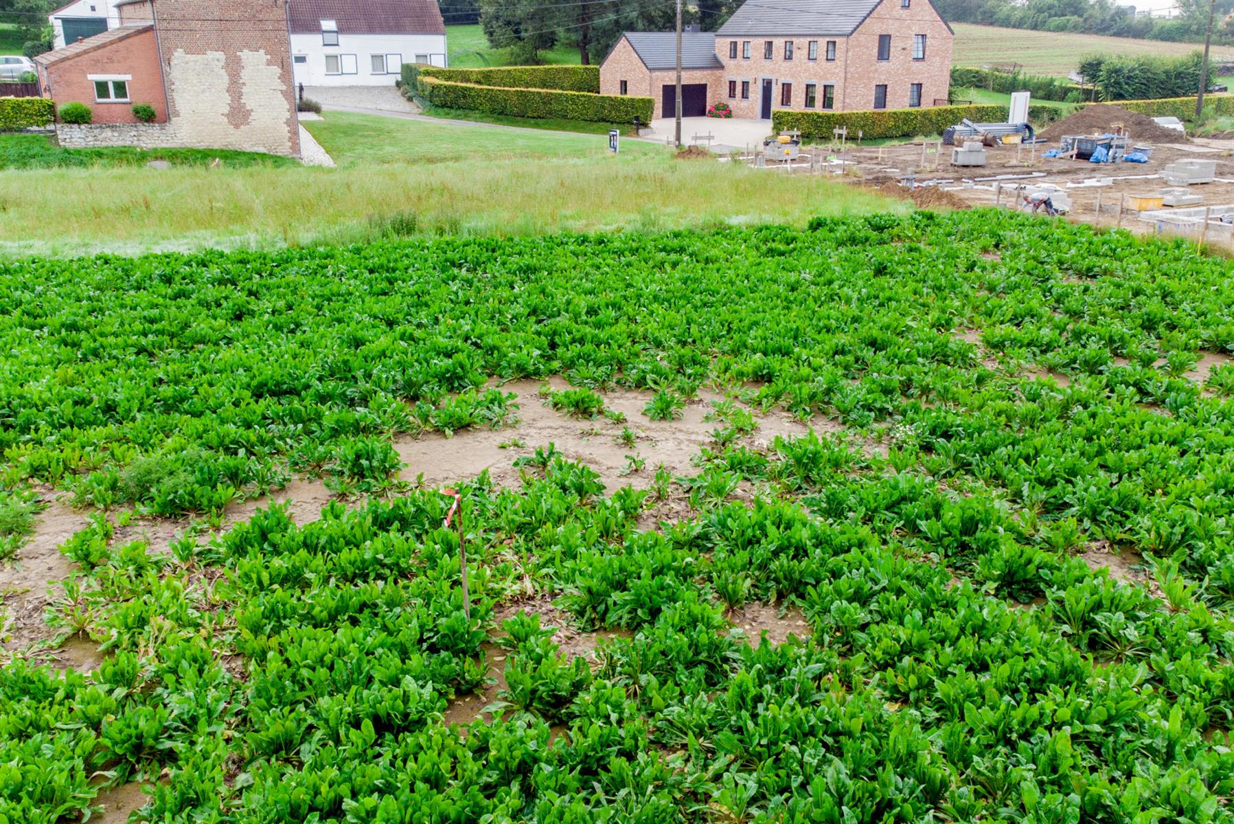 Foto 1 van 2 van Bouwgrond in Genappe