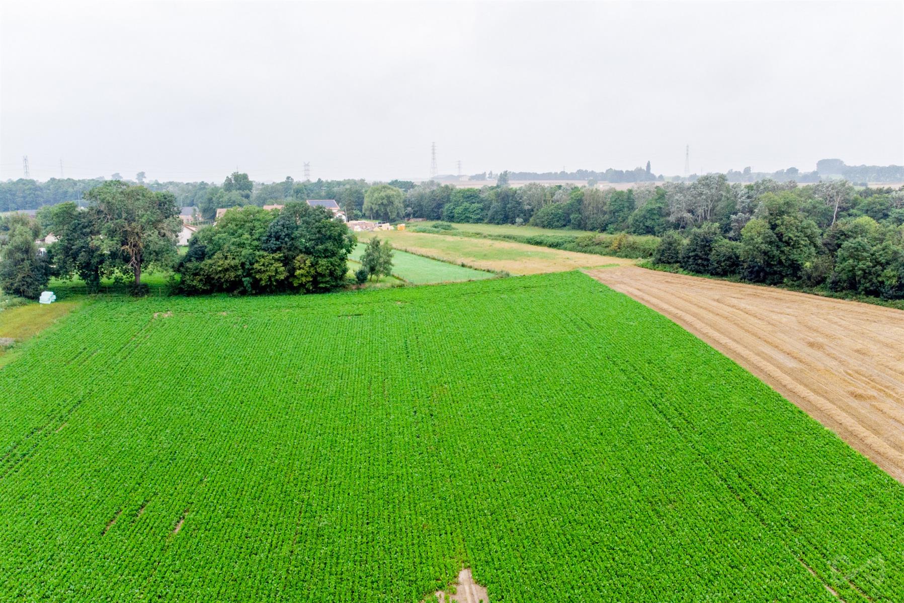 Foto 3 van 4 van Bouwgrond in Genappe