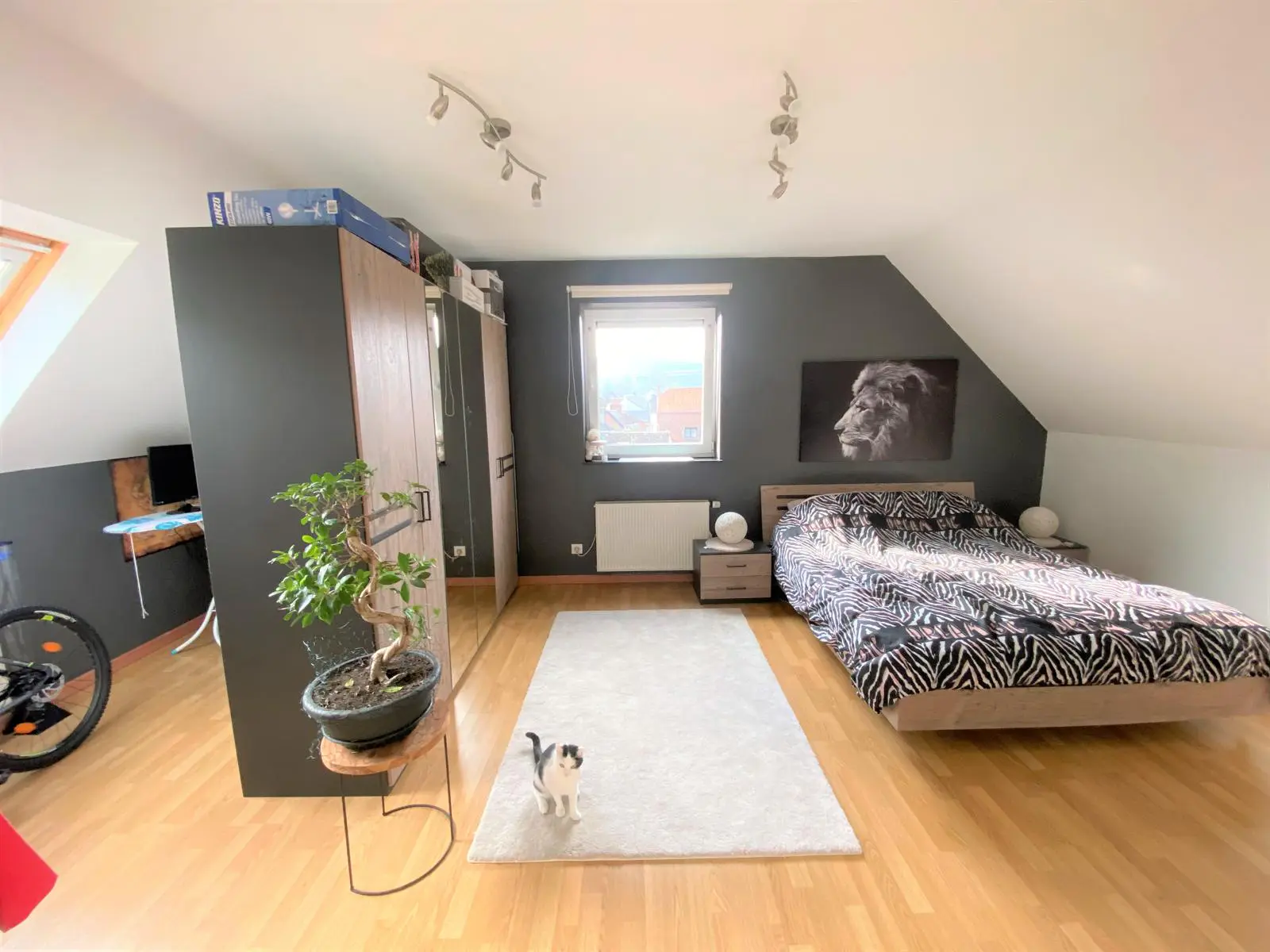 Picture 2 of 4 for Flat with one bedroom in Dinant