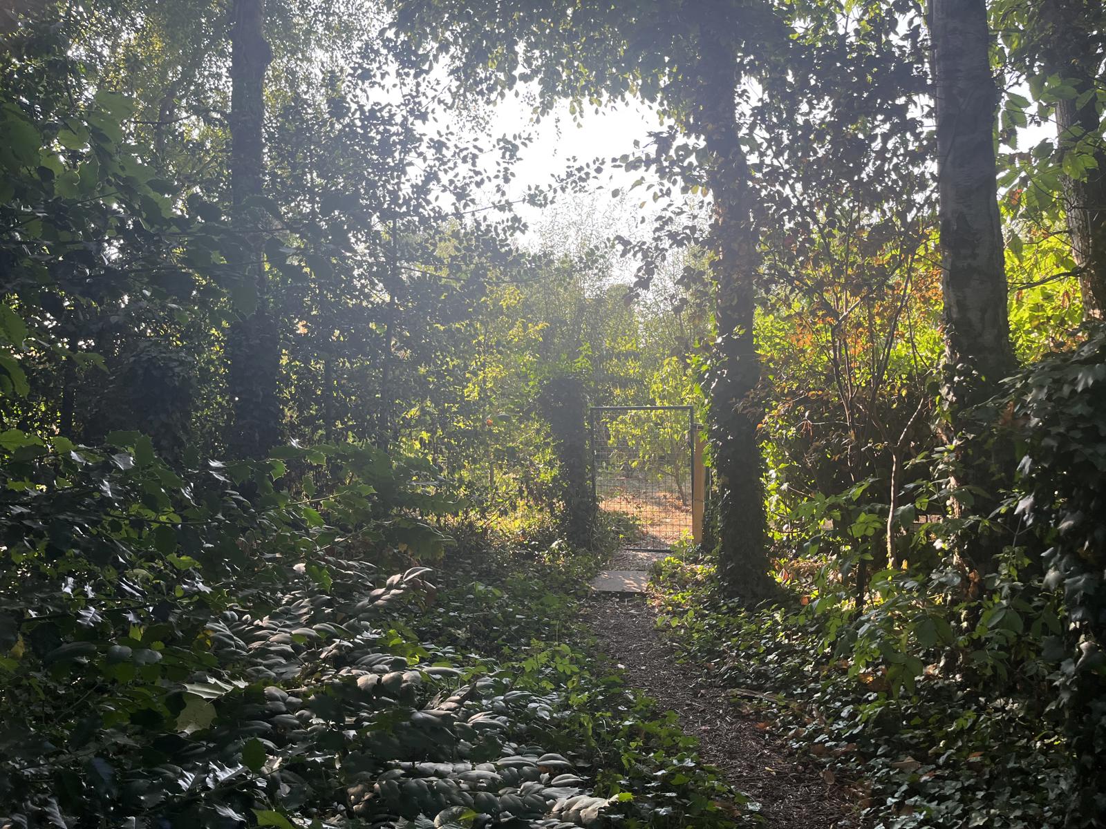 Photo 2 sur 4 pour Maison de deux chambres à Kaprijke 