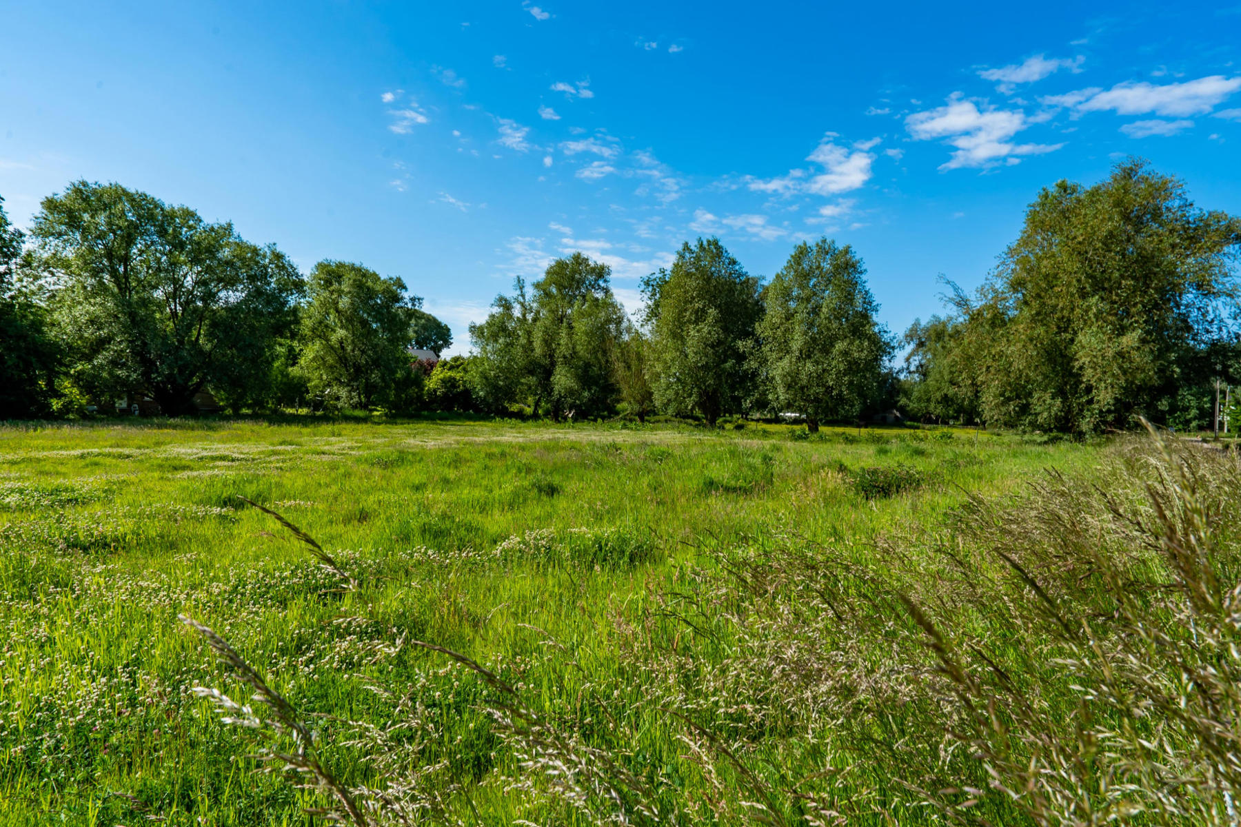 Picture 3 of 3 for Building ground in Villersle-Bouillet Vauxet-Borset