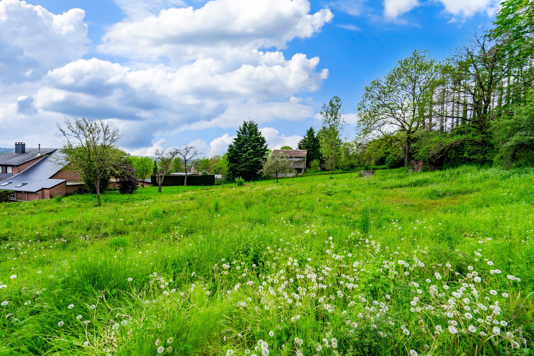 Photo 2 sur 4 pour Terrain à bâtir à Barvaux (-sur-ourthe)