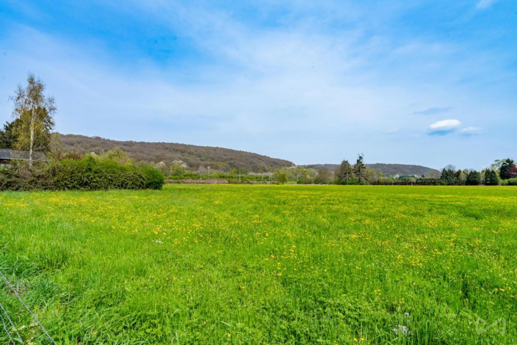 Photo 3 sur 3 pour Terrain agricole à Wanze