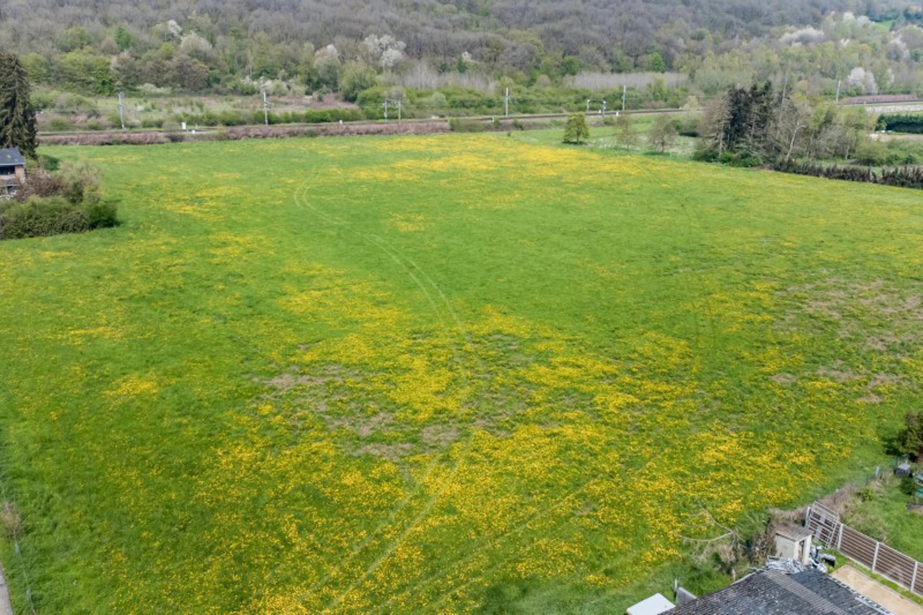 Photo 2 sur 4 pour Terrain agricole à Wanze