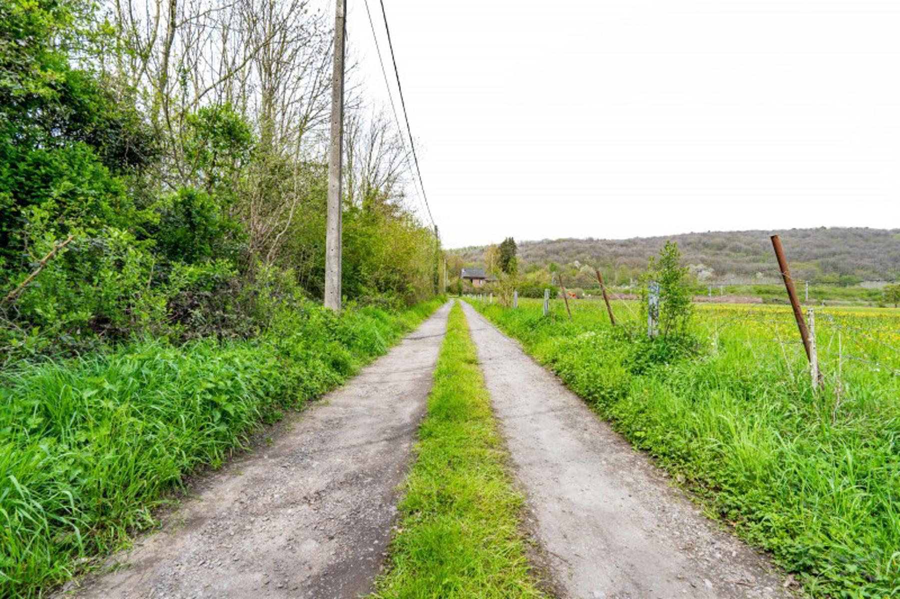 Photo 3 sur 4 pour Terrain agricole à Wanze