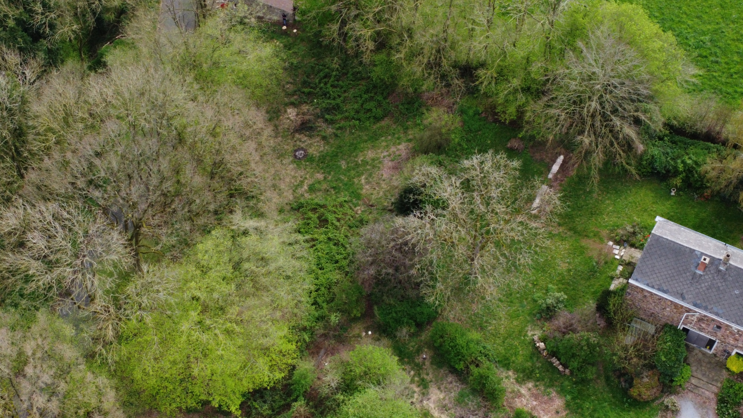Picture 3 of 4 for Building ground in Marchin