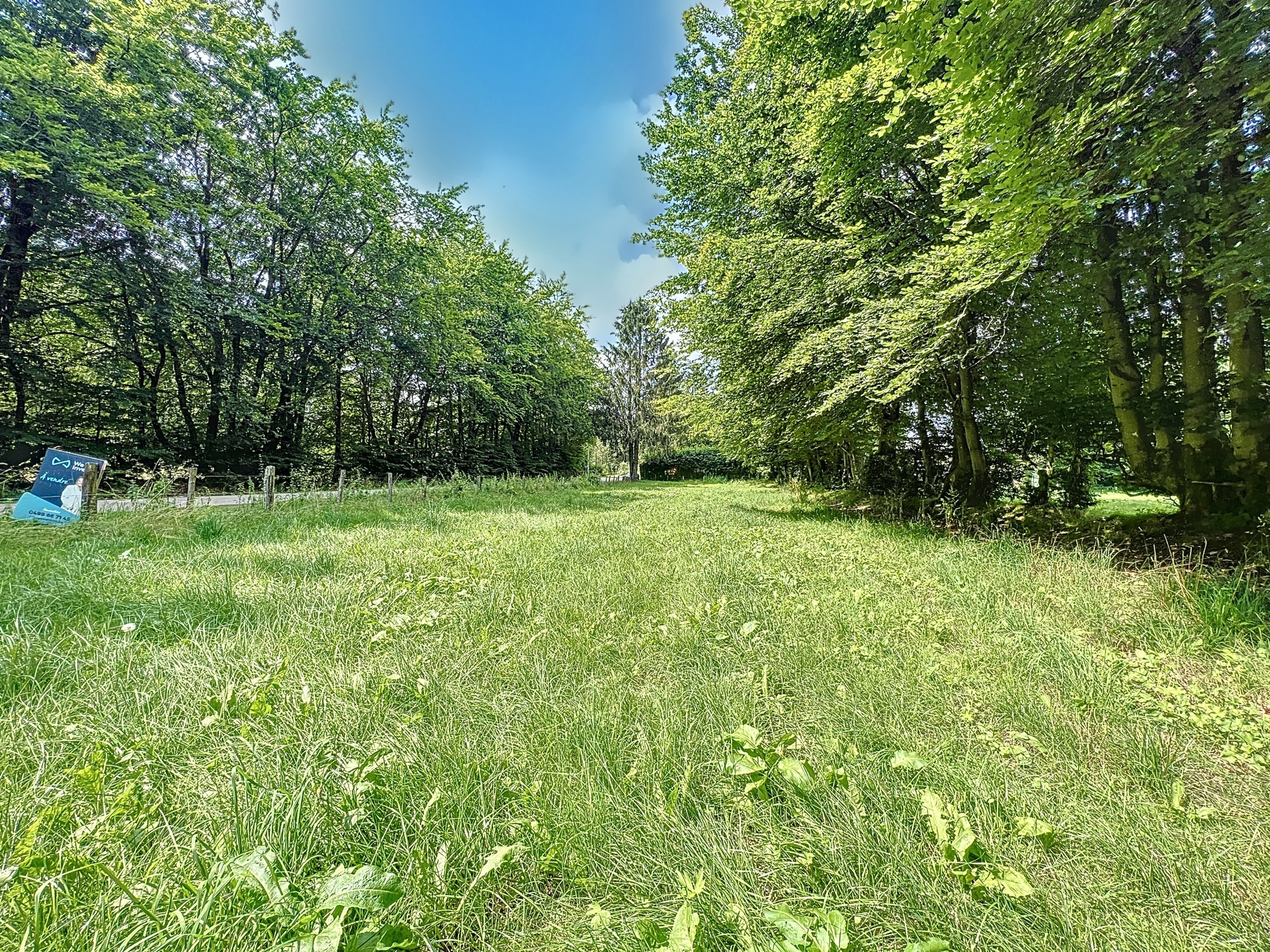 Photo 4 sur 4 pour Terrain à bâtir à Waimes