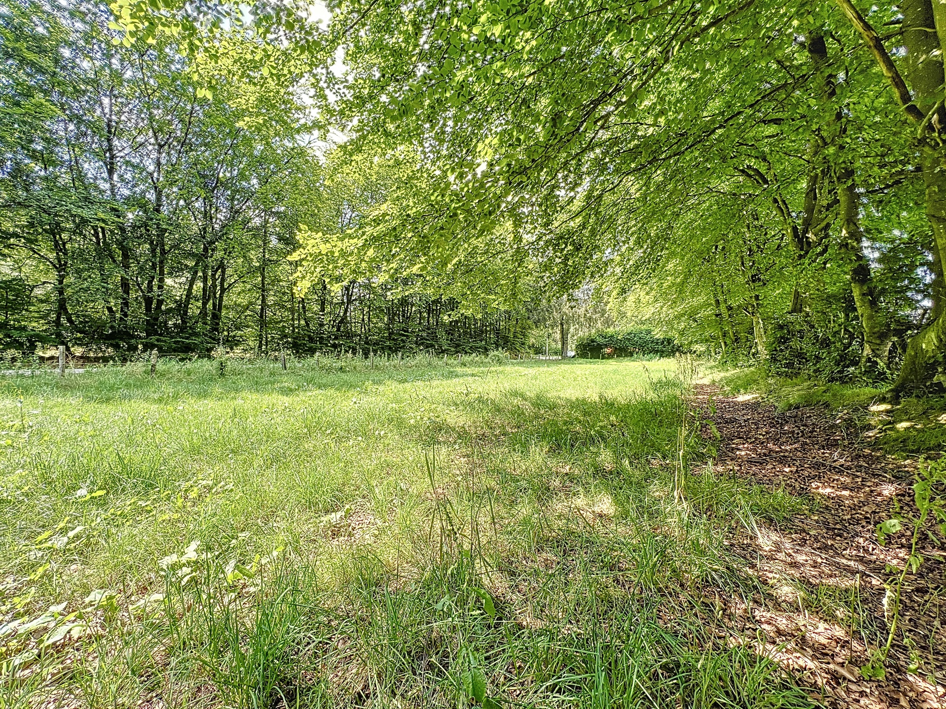 Photo 3 sur 3 pour Terrain à bâtir à Waimes